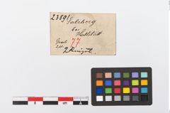 Etiketten zu Bronzering (NHMW-PRAE-023891)
